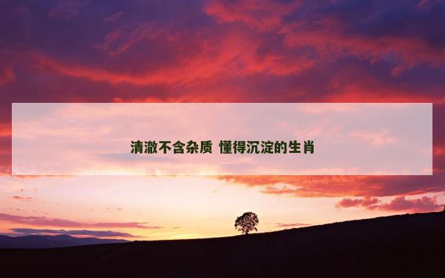 清澈不含杂质 懂得沉淀的生肖