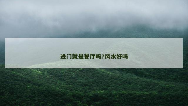 进门就是餐厅吗?风水好吗