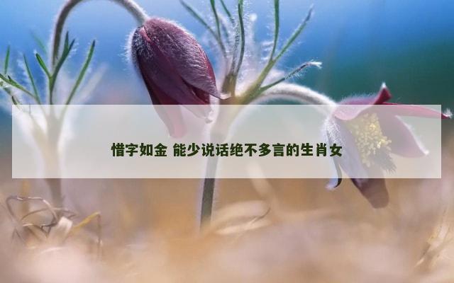 惜字如金 能少说话绝不多言的生肖女