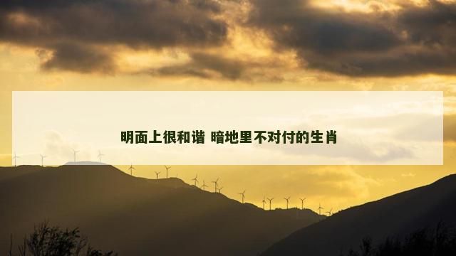 明面上很和谐 暗地里不对付的生肖