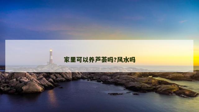家里可以养芦荟吗?风水吗