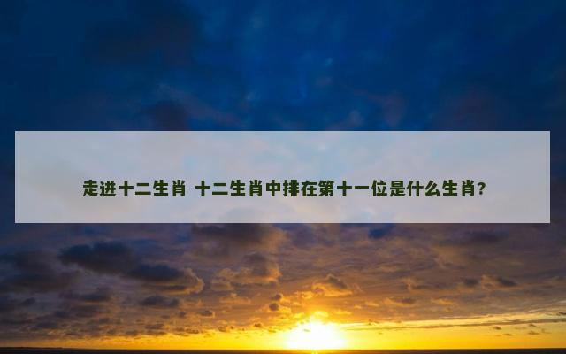 走进十二生肖 十二生肖中排在第十一位是什么生肖?