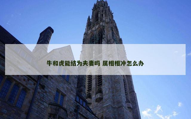 牛和虎能结为夫妻吗 属相相冲怎么办