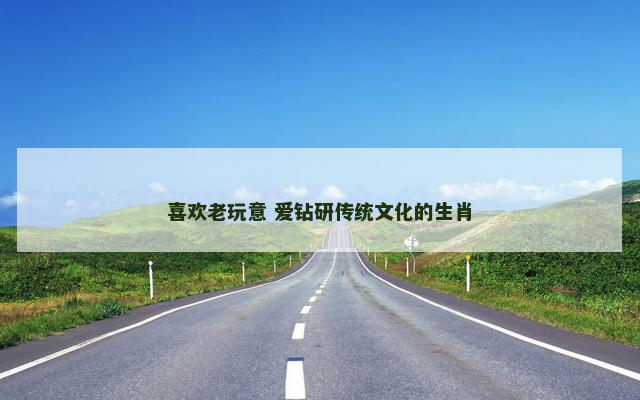 喜欢老玩意 爱钻研传统文化的生肖
