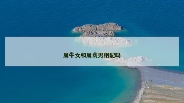 属牛女和属虎男相配吗