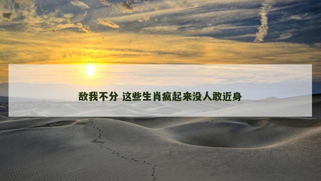 敌我不分 这些生肖疯起来没人敢近身