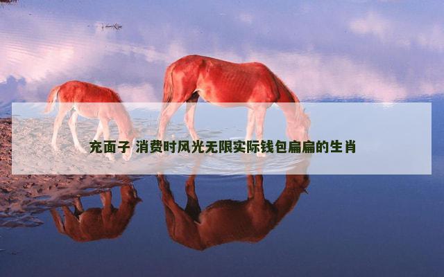充面子 消费时风光无限实际钱包扁扁的生肖