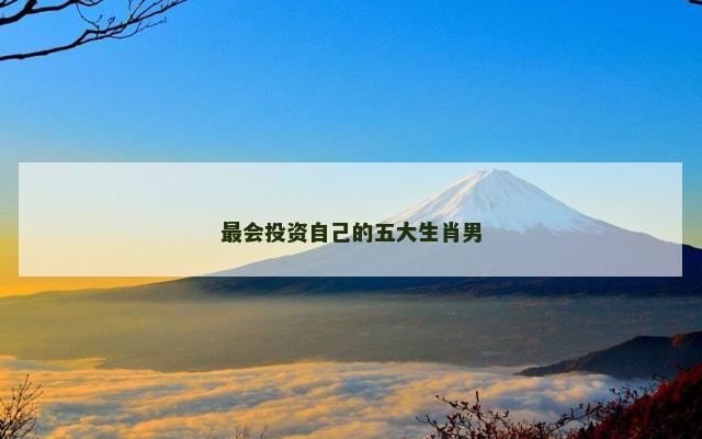 最会投资自己的五大生肖男