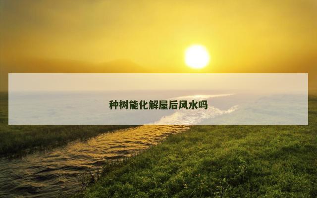 种树能化解屋后风水吗