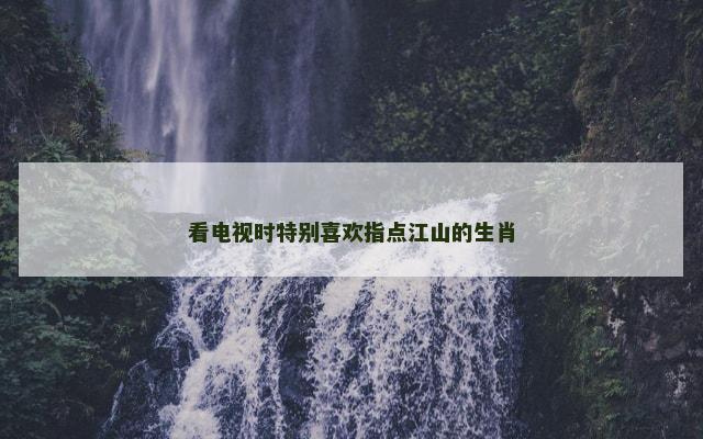 看电视时特别喜欢指点江山的生肖