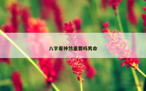 八字看神煞重要吗男命