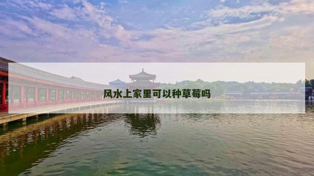 风水上家里可以种草莓吗