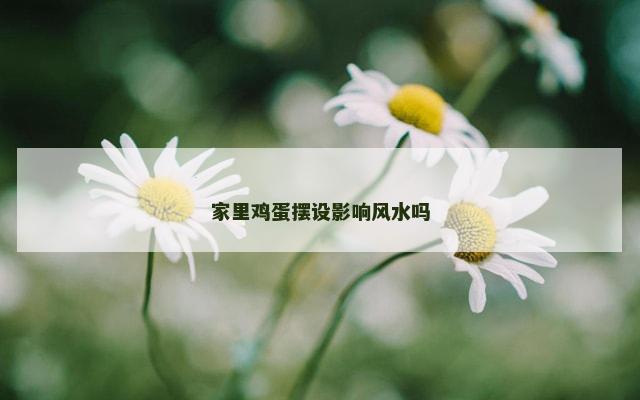 家里鸡蛋摆设影响风水吗