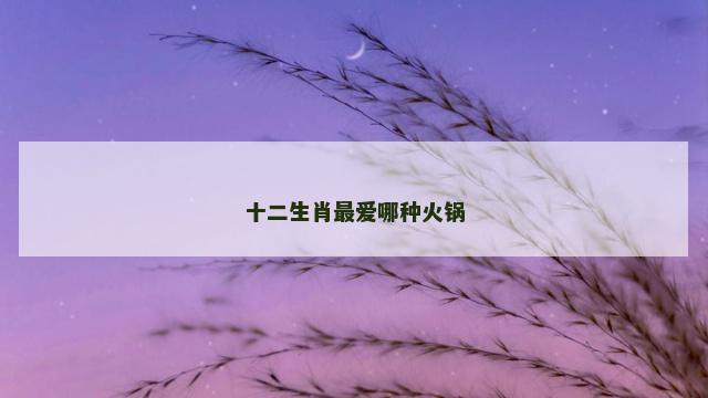 十二生肖最爱哪种火锅