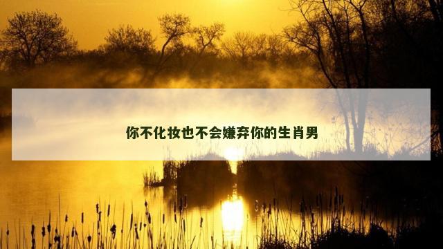 你不化妆也不会嫌弃你的生肖男