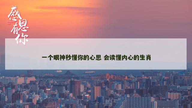 一个眼神秒懂你的心思 会读懂内心的生肖