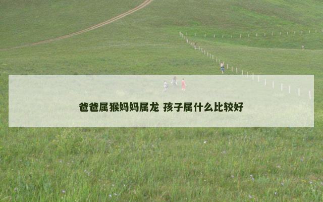 爸爸属猴妈妈属龙 孩子属什么比较好