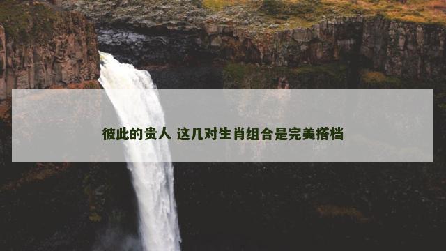 彼此的贵人 这几对生肖组合是完美搭档
