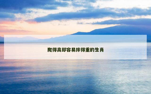 爬得高却容易摔得重的生肖