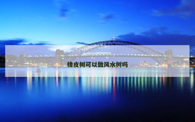 橡皮树可以做风水树吗