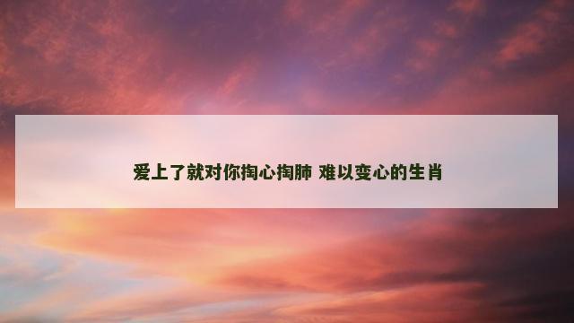 爱上了就对你掏心掏肺 难以变心的生肖