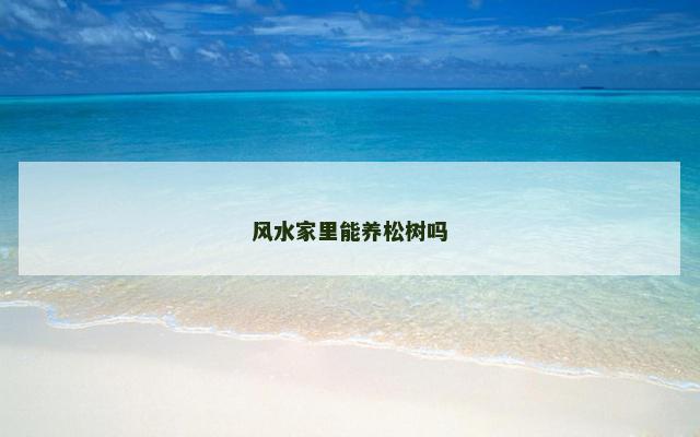 风水家里能养松树吗