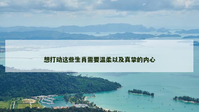 想打动这些生肖需要温柔以及真挚的内心