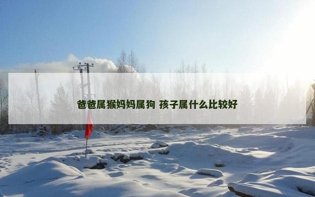 爸爸属猴妈妈属狗 孩子属什么比较好