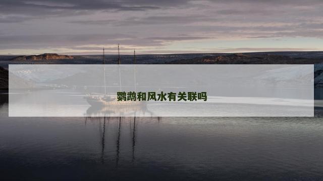 鹦鹉和风水有关联吗