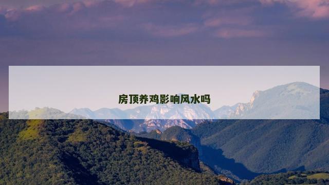 房顶养鸡影响风水吗