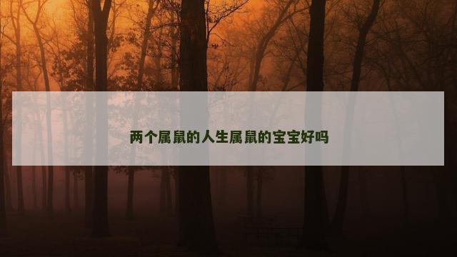 两个属鼠的人生属鼠的宝宝好吗