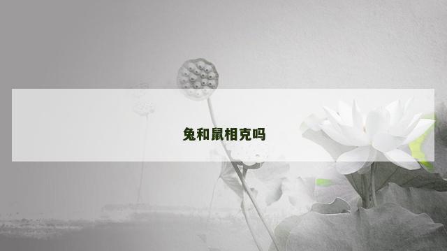 兔和鼠相克吗