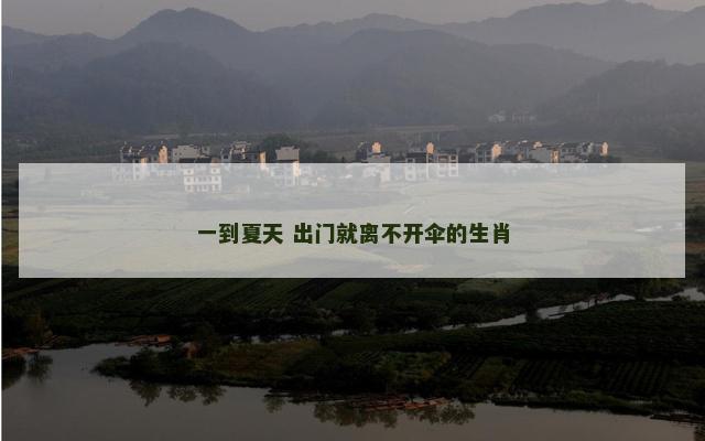 一到夏天 出门就离不开伞的生肖