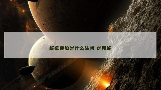 蛇欲吞象是什么生肖 虎和蛇