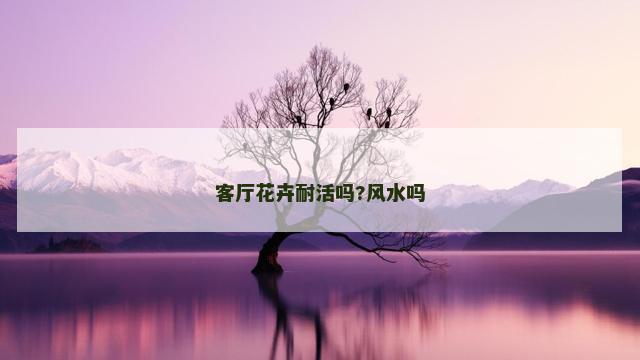 客厅花卉耐活吗?风水吗