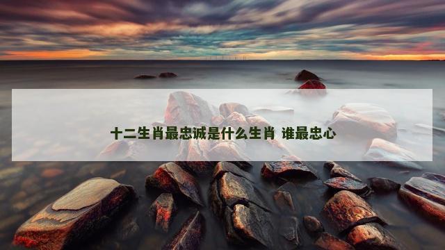 十二生肖最忠诚是什么生肖 谁最忠心
