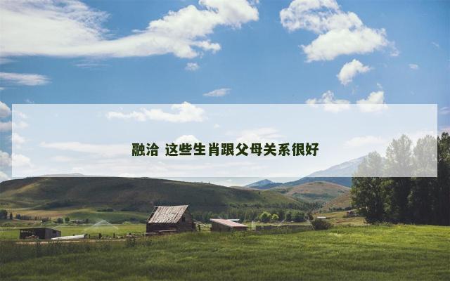 融洽 这些生肖跟父母关系很好
