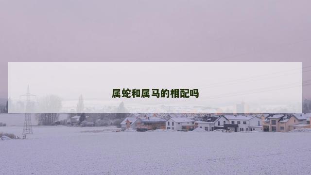 属蛇和属马的相配吗