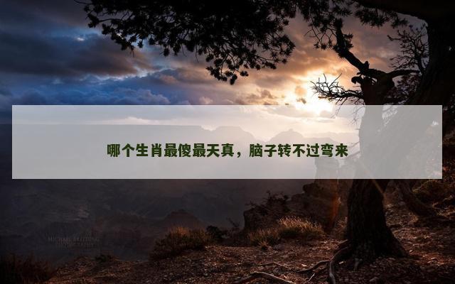 哪个生肖最傻最天真，脑子转不过弯来