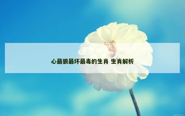 心最狠最坏最毒的生肖 生肖解析