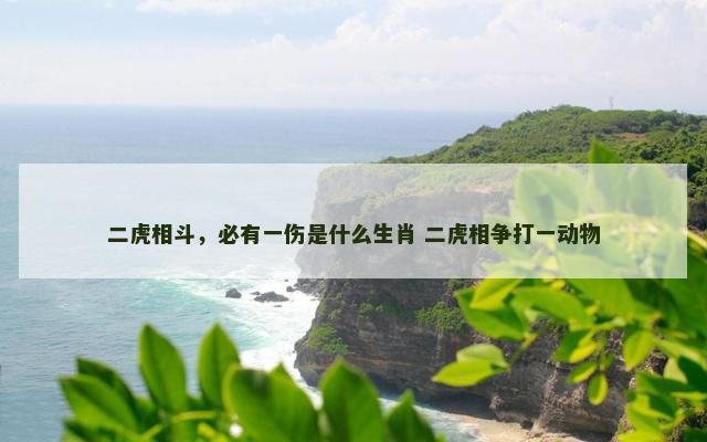 二虎相斗，必有一伤是什么生肖 二虎相争打一动物