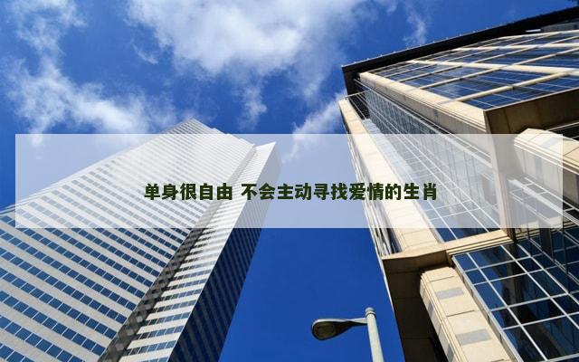 单身很自由 不会主动寻找爱情的生肖