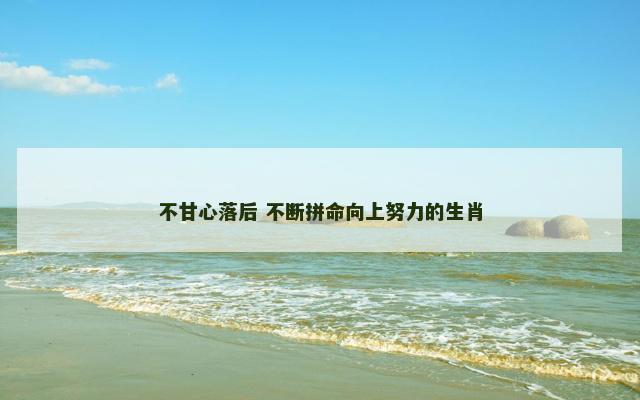 不甘心落后 不断拼命向上努力的生肖