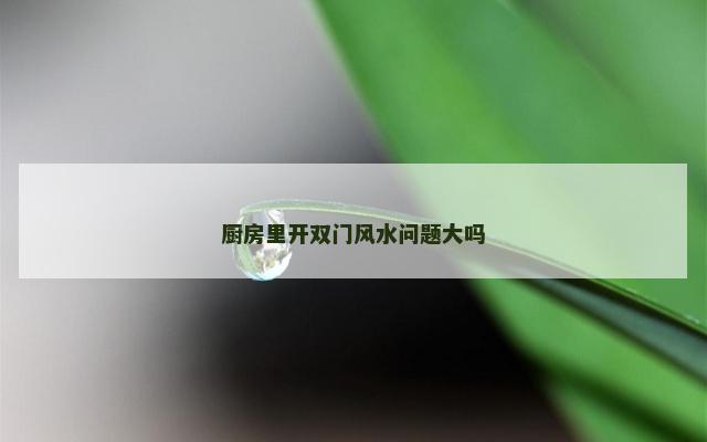 厨房里开双门风水问题大吗