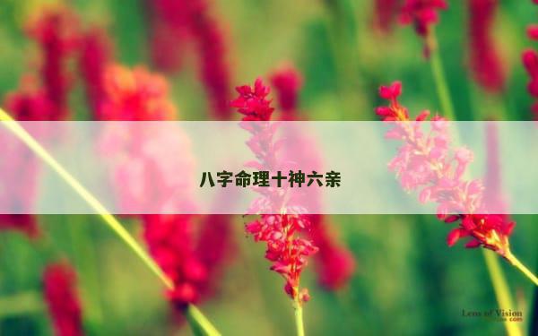 八字命理十神六亲