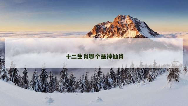 十二生肖哪个是神仙肖
