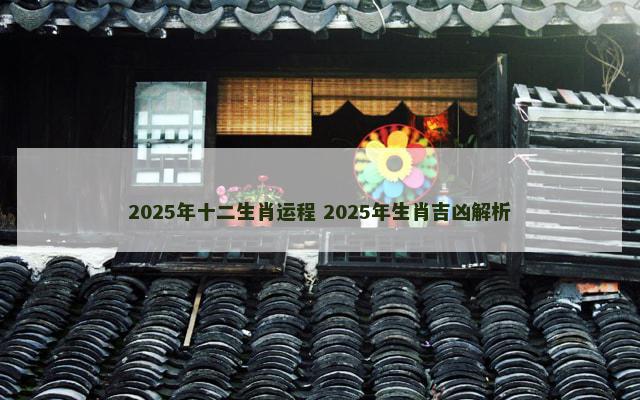 2025年十二生肖运程 2025年生肖吉凶解析