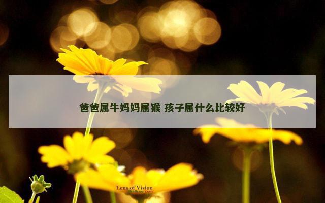 爸爸属牛妈妈属猴 孩子属什么比较好