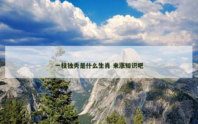 一枝独秀是什么生肖 来涨知识吧