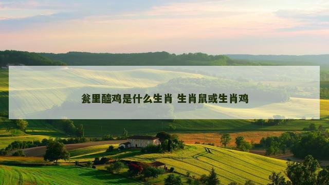 瓮里醯鸡是什么生肖 生肖鼠或生肖鸡